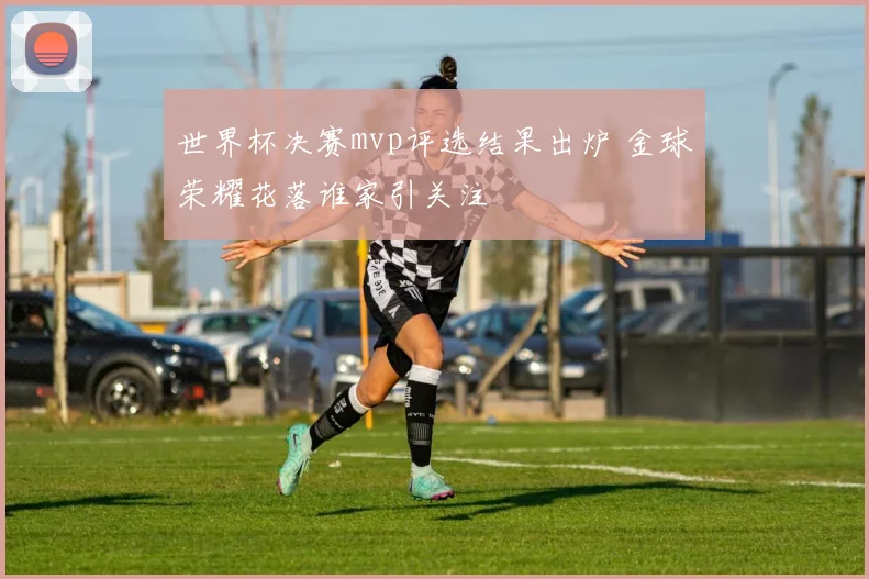 世界杯决赛mvp评选结果出炉 金球荣耀花落谁家引关注