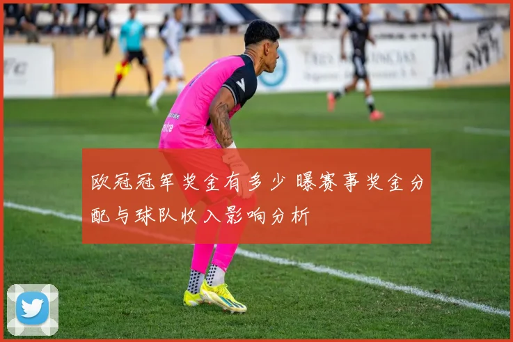 欧冠冠军奖金有多少 曝赛事奖金分配与球队收入影响分析
